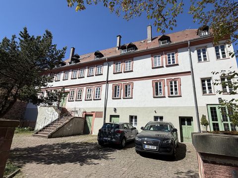 Die Alte Münze