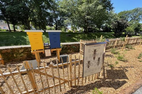 Bienenkästen im Nachgarten