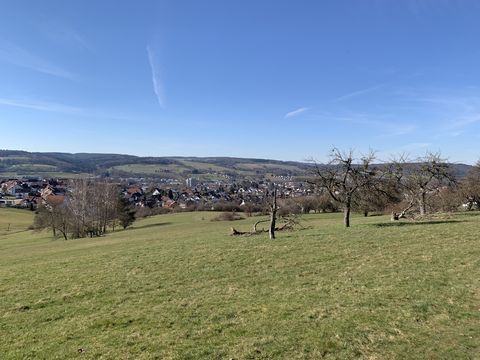 Blick nach Michelstadt vom Gräsig