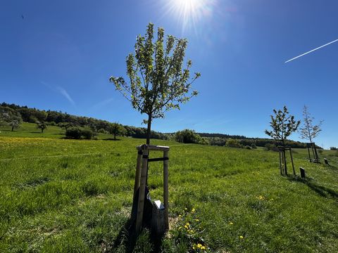 Herzensbäume