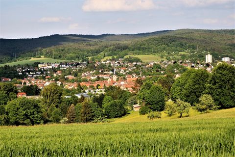 Michelstadt von seiner grünen Seite
